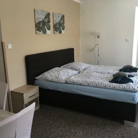 Penzion Chlumec Guest house 3*